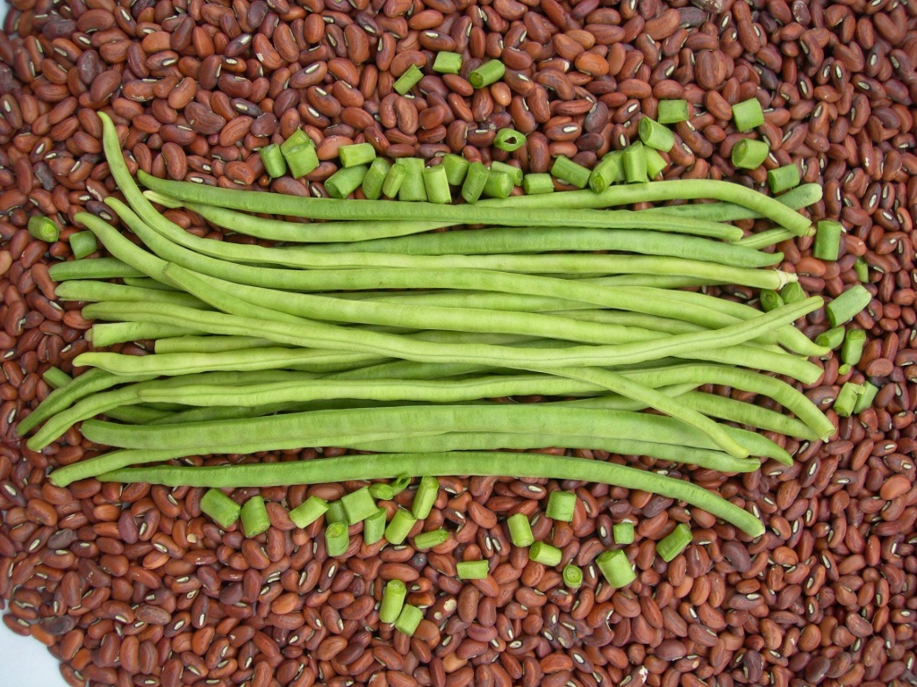 Cowpeas seneps plant choice